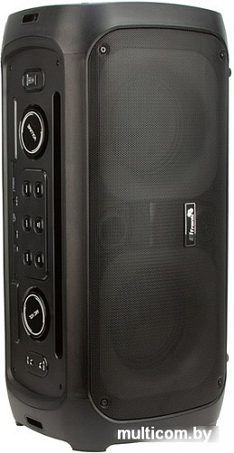 Колонка для вечеринок Eltronic 20-34 Dance Box 300