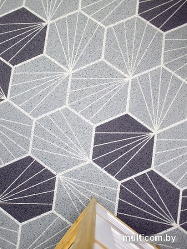 Придверный коврик Евроковрик №94 100x120