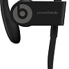 Наушники Beats Powerbeats3 Wireless [ML8V2]