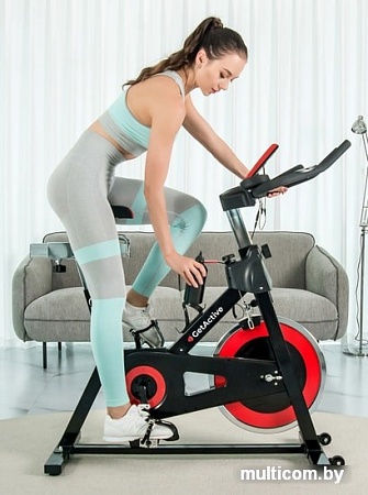 Велотренажер GetActive ES-703 10kg