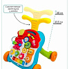 Ходунки Amarobaby Study Walker 3 в 1 (зеленый)