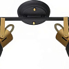 Спот Arte Lamp Jovi A1677PL-2GO