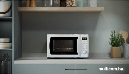 Микроволновая печь Zerowatt ZMWA20SDLW-07