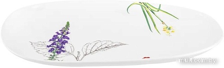 Блюдо Elan Gallery Ботанический атлас 540793