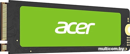 SSD Acer FA100 512GB BL.9BWWA.119