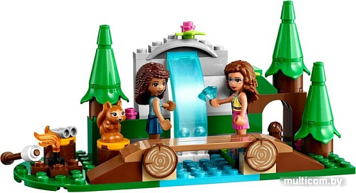 Конструктор LEGO Friends 41677 Лесной водопад