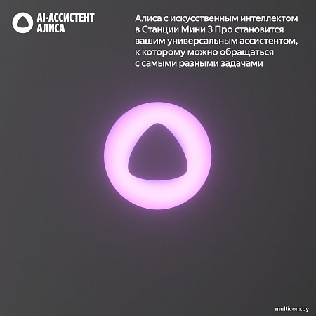 Умная колонка Яндекс Станция Мини 3 Про (серый)