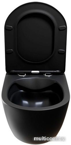 Унитаз White Wave Round (черный матовый)