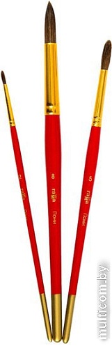 Набор кистей Гамма Пони 280618.09.03 (3 шт)