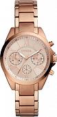 Наручные часы Fossil Modern Courier BQ3036