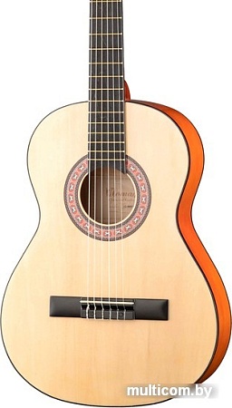 Акустическая гитара Homage LC-3600