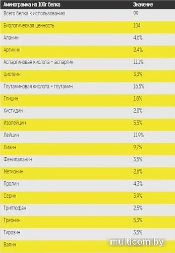 Протеин Binasport Premium Whey Protein (750г, манго/маракуйя)
