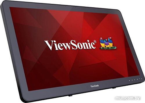 Монитор ViewSonic TD2430