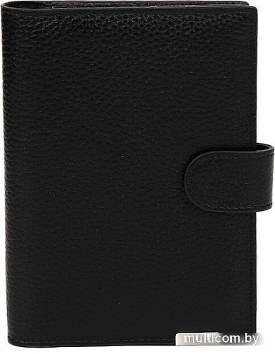 Обложка на документы Fabretti 54022D-2