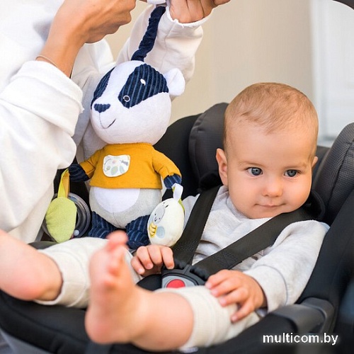 Развивающая игрушка BabyOno Енот 1435