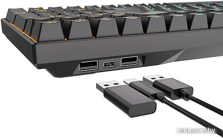 Клавиатура Royal Kludge RK100 RGB (черный, RK Red)