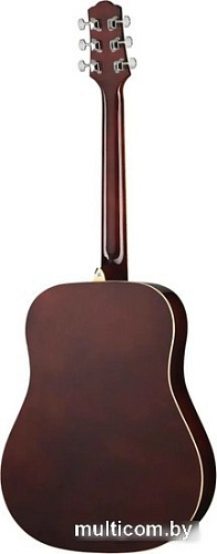 Акустическая гитара Naranda DG120VS
