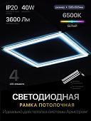 Светильник eMZe Армстронг OP-WS-PL66-40WFLS-6500K