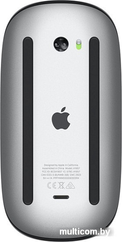 Мышь Apple Magic Mouse (черный)