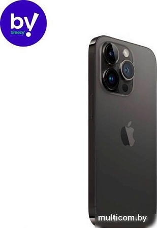 Смартфон Apple iPhone 14 Pro Max 256GB Восстановленный by Breezy, грейд B (космический черный)