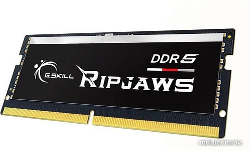 Оперативная память G.Skill Ripjaws 16ГБ DDR5 SODIMM 4800МГц F5-4800S3838A16GX1-RS