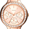 Наручные часы Fossil Weslee BQ3706
