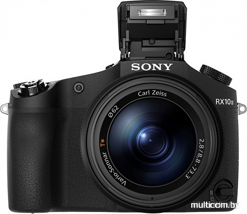 Фотоаппарат Sony DSC-RX10M2