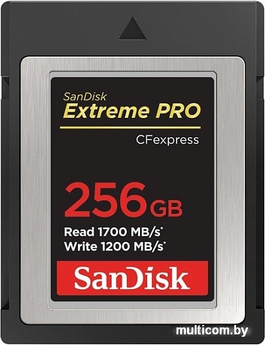 Карта памяти SanDisk Extreme Pro CFexpress Type B SDCFE-256G-GN4NN 256GB