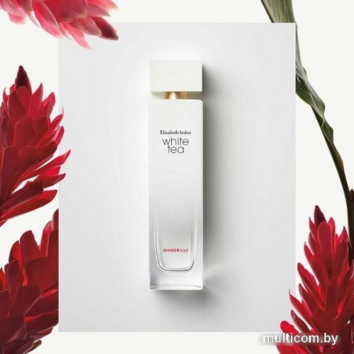 Парфюмерия Elizabeth Arden White Tea Ginger Lily EdT (30 мл)