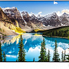 Телевизор LG 49UJ740V