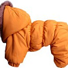 Комбинезон для животных Lion Pets Winter LPK072 (S)