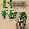 Общая тетрадь Hatber Green Life 96Т5В1 (96 л)