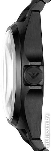 Наручные часы Emporio Armani AR11257