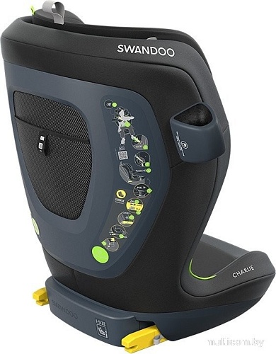 Детское автокресло Swandoo Charlie i-size (chia black)