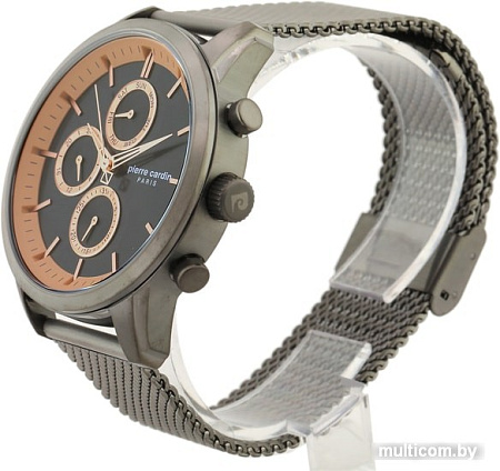 Наручные часы Pierre Cardin PC902741F02