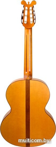 Акустическая гитара Doff RGS