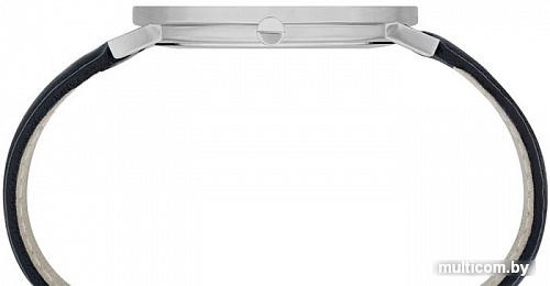 Наручные часы Pierre Cardin Belleville Park CBV.1029