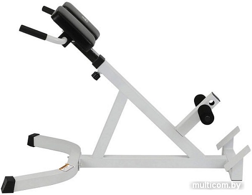 Гиперэкстензия DFC DBCH19W