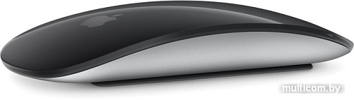 Мышь Apple Magic Mouse (черный)