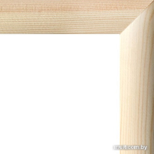 Фоторамка Палитра Д2534 40x50