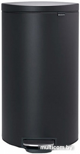 Brabantia FlatBack+ 30 л (минерально-графитовый)