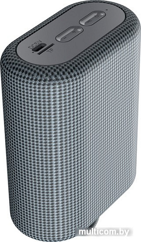 Беспроводная колонка Canyon CNE-CBTSP4DG