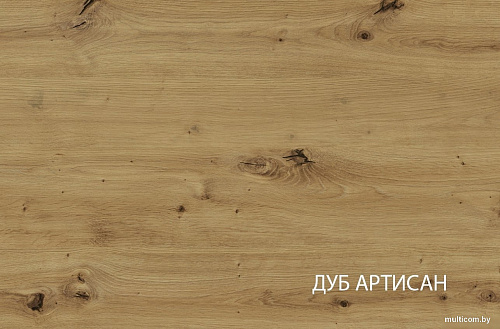Шкаф распашной Anrex Bosco 2DG1S (дуб артисан/черный)