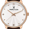 Наручные часы Daniel Klein DK12931-3
