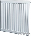 Стальной панельный радиатор Лидея ЛУ 11-310 300x1000