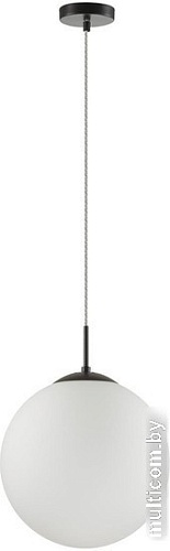 Подвесная люстра Lumion Summer 6510/1A