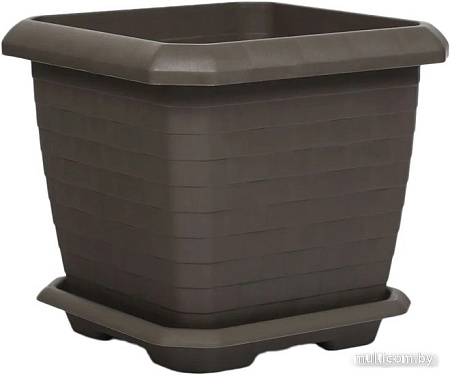 Serinova Hisar №3 20-HKS309214-200100 (мокко)