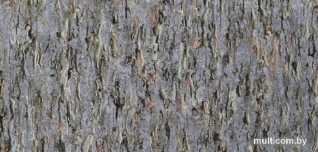 Elysium Форма E300106