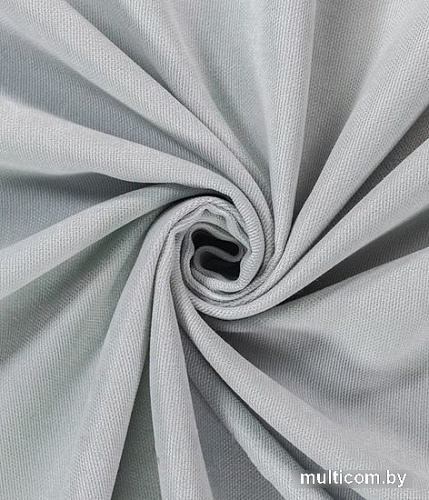 Штора Legrand Канвас 1.5x2.8 м 58118751 (серебристый)