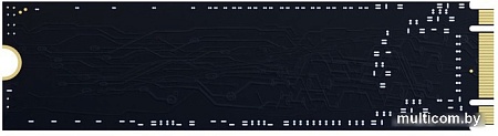 SSD Indilinx S3N80S 256GB IND-S3N80S256GX